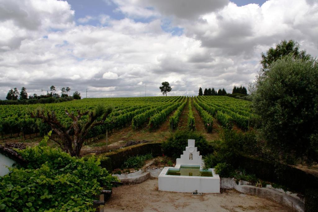 Вилла Quinta Da Fata Нелаш Экстерьер фото